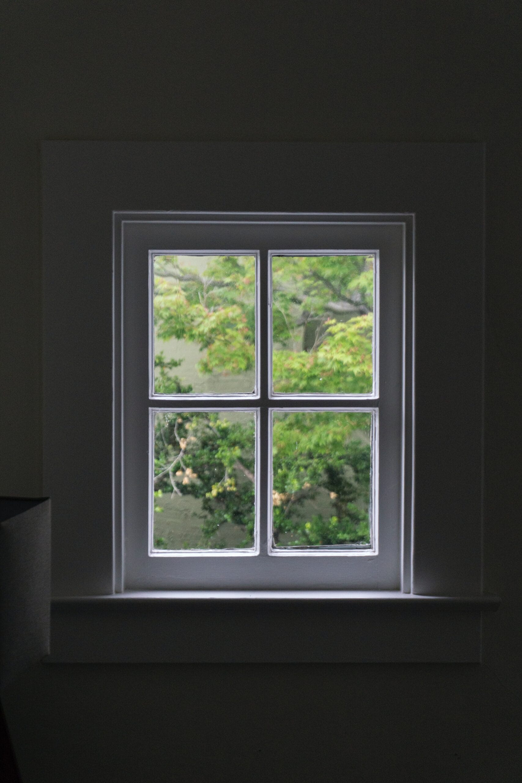 Window